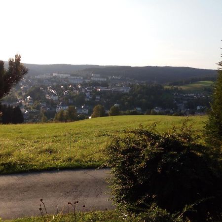 Ferienwohnung Koernerberg Klingenthal Eksteriør billede