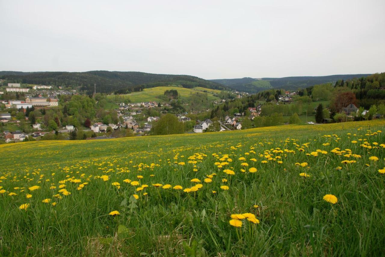 Ferienwohnung Koernerberg Klingenthal Eksteriør billede