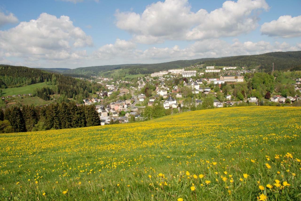 Ferienwohnung Koernerberg Klingenthal Eksteriør billede